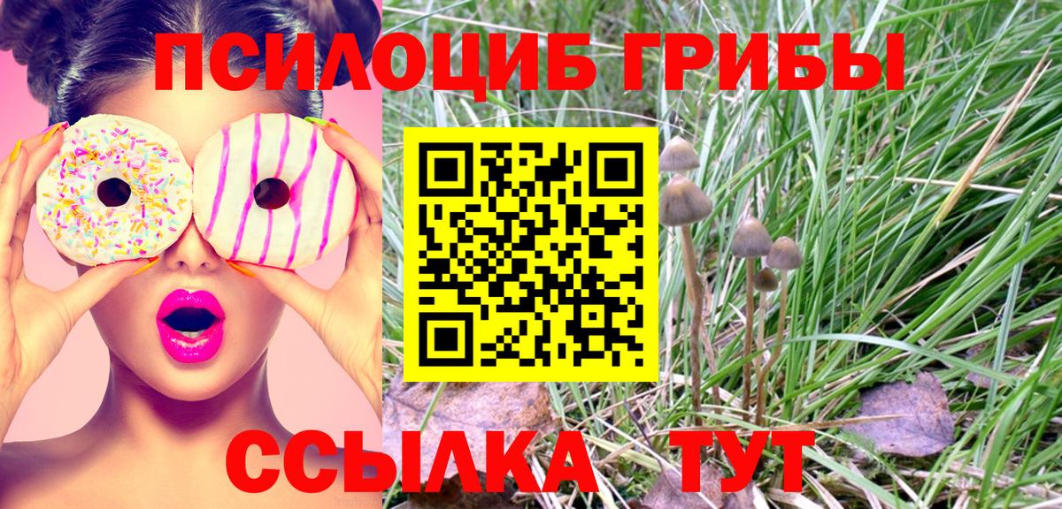 Псилоцибиновые грибы мицелий  Галлюциногенные грибы мицелий  Сосновый Бор  Вход с VPN 